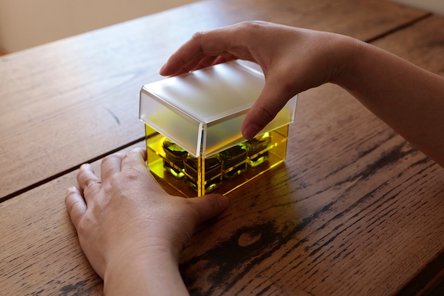 定番ボトル専用インク収納箱 INK STORAGE BOX for スペアボトルミニ