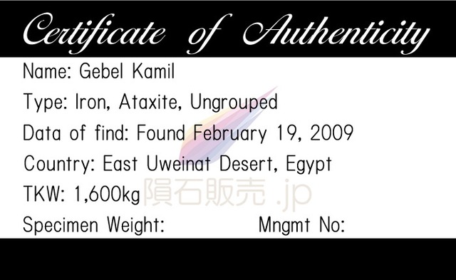 ゲベルカミル 隕石 40.5g アタキサイト 鉄隕石 標本 Gebel Kamil M2603