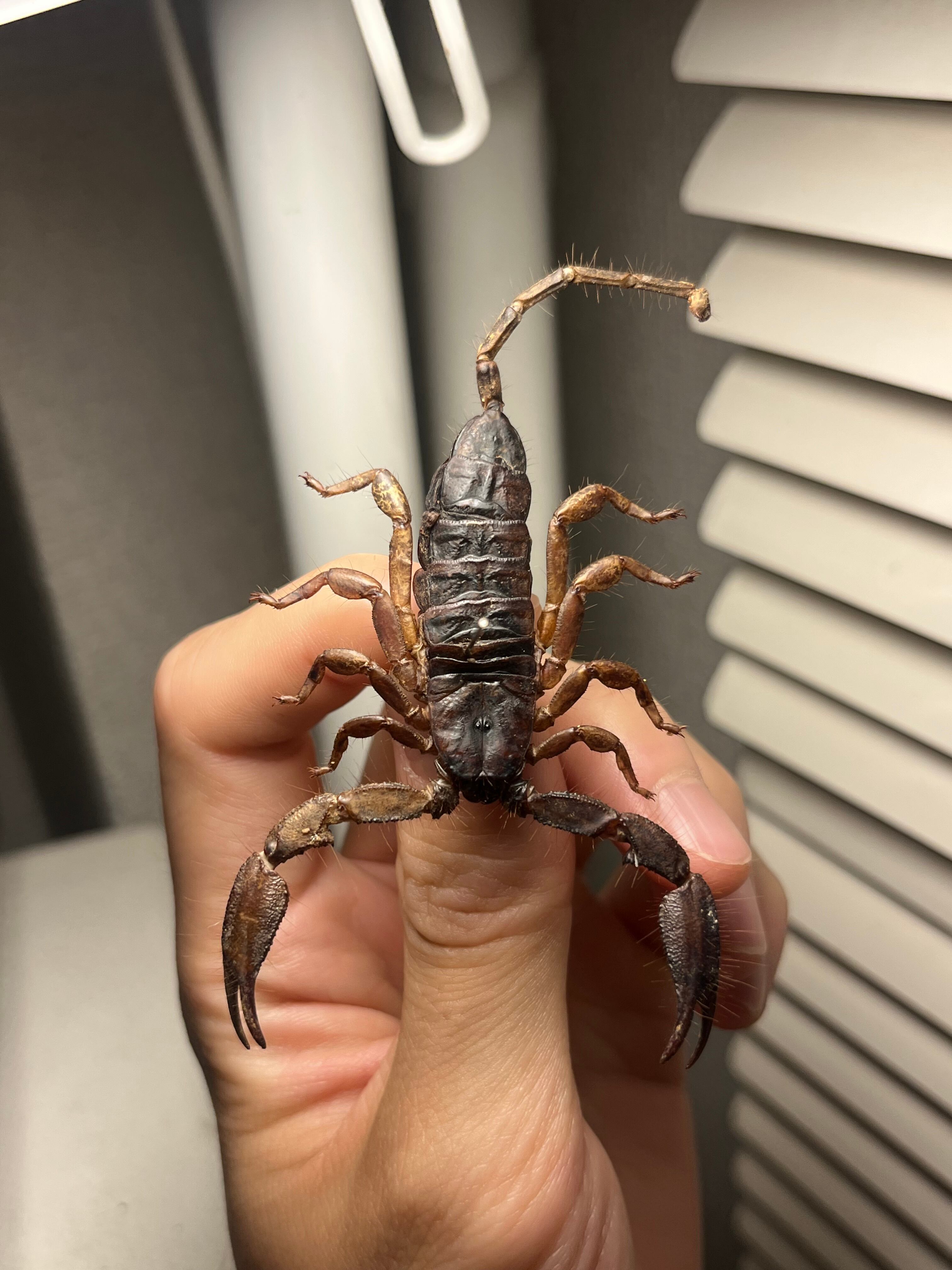 9dc7300d8b59cb8469ab770d5fdbcf