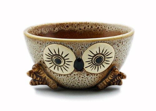 陶器器　ふくろうボウル　ブラウン