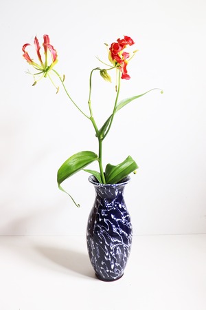 Art navy vase