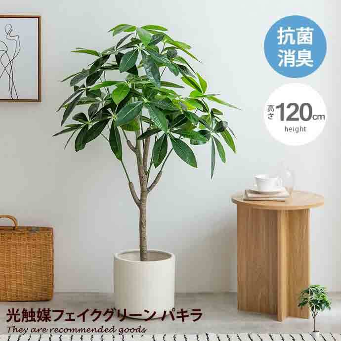 高さ120cm】パキラ-光触媒人工観葉植物 | Lohas Style倶楽部
