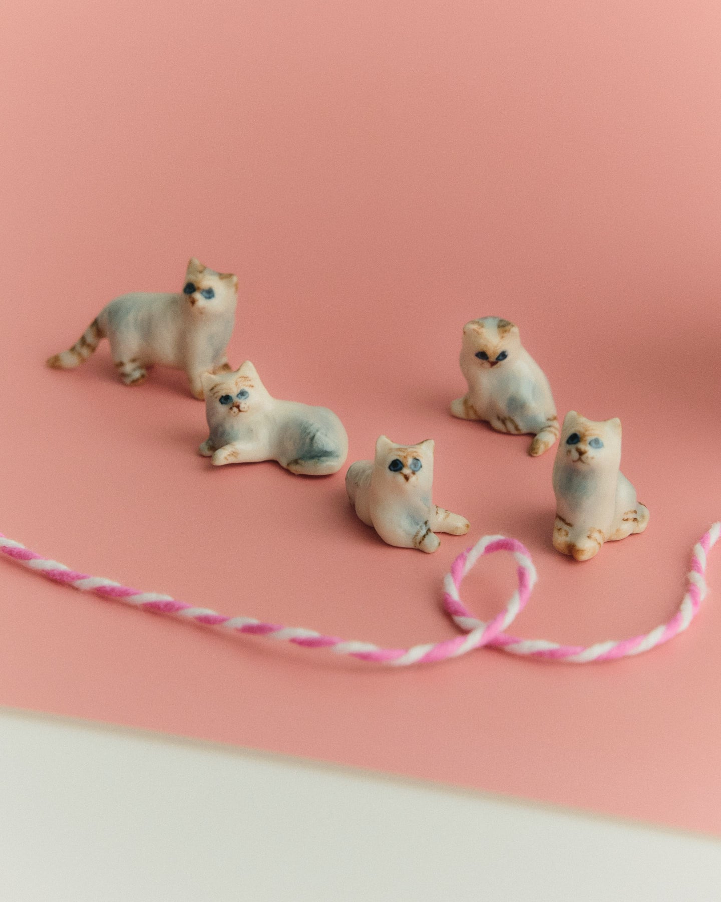 【ミニチュア陶器】Mini cat~5匹セット~