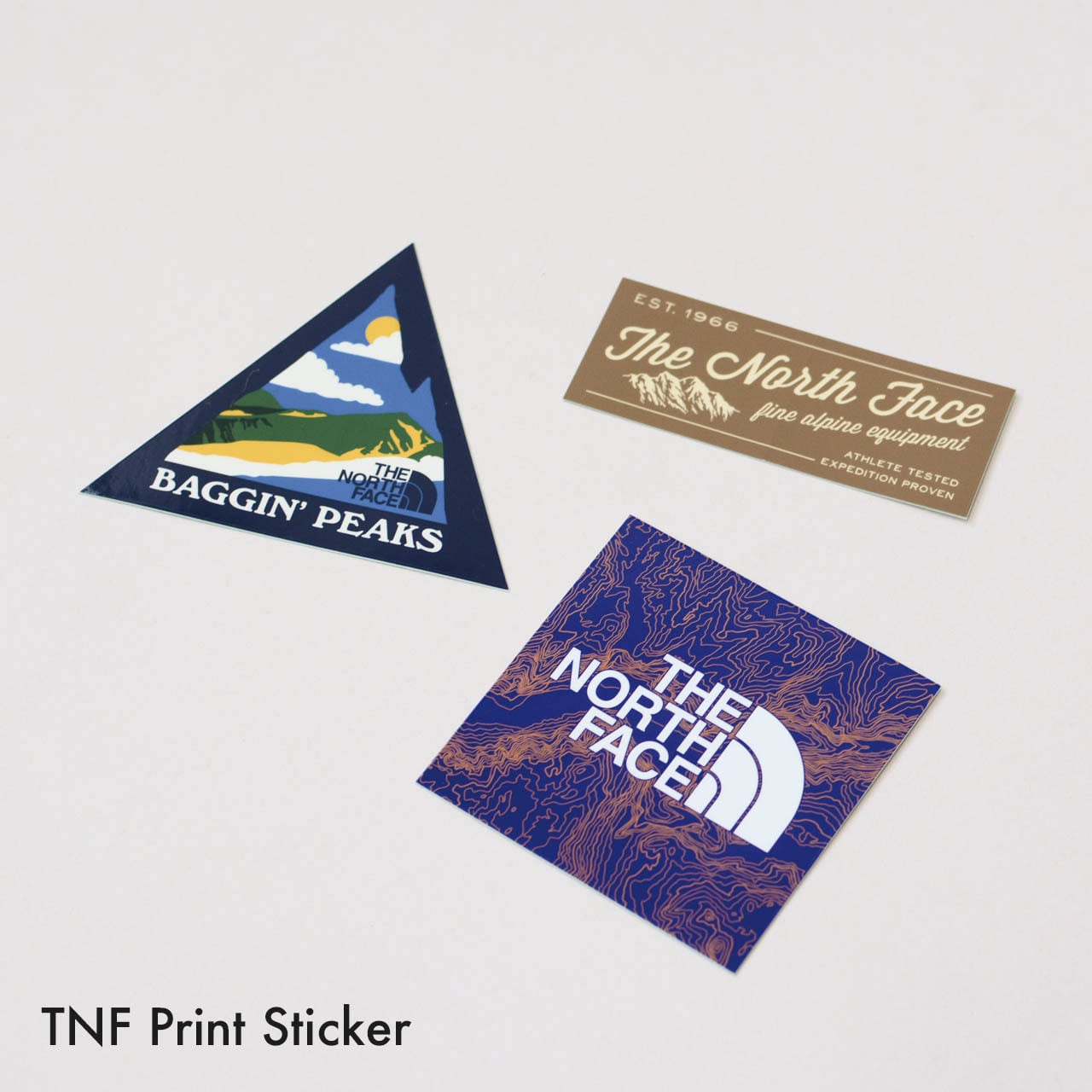 THE NORTH FACE [ザ・ノース・フェイス] TNF Print Sticker [NN32348