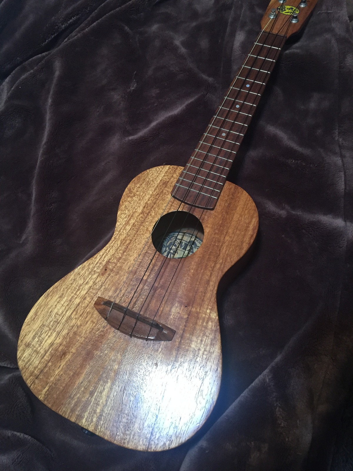 中古 調整済 MANA ハワイ製コンサートウクレレ C-KM | UKULELE DARUMA