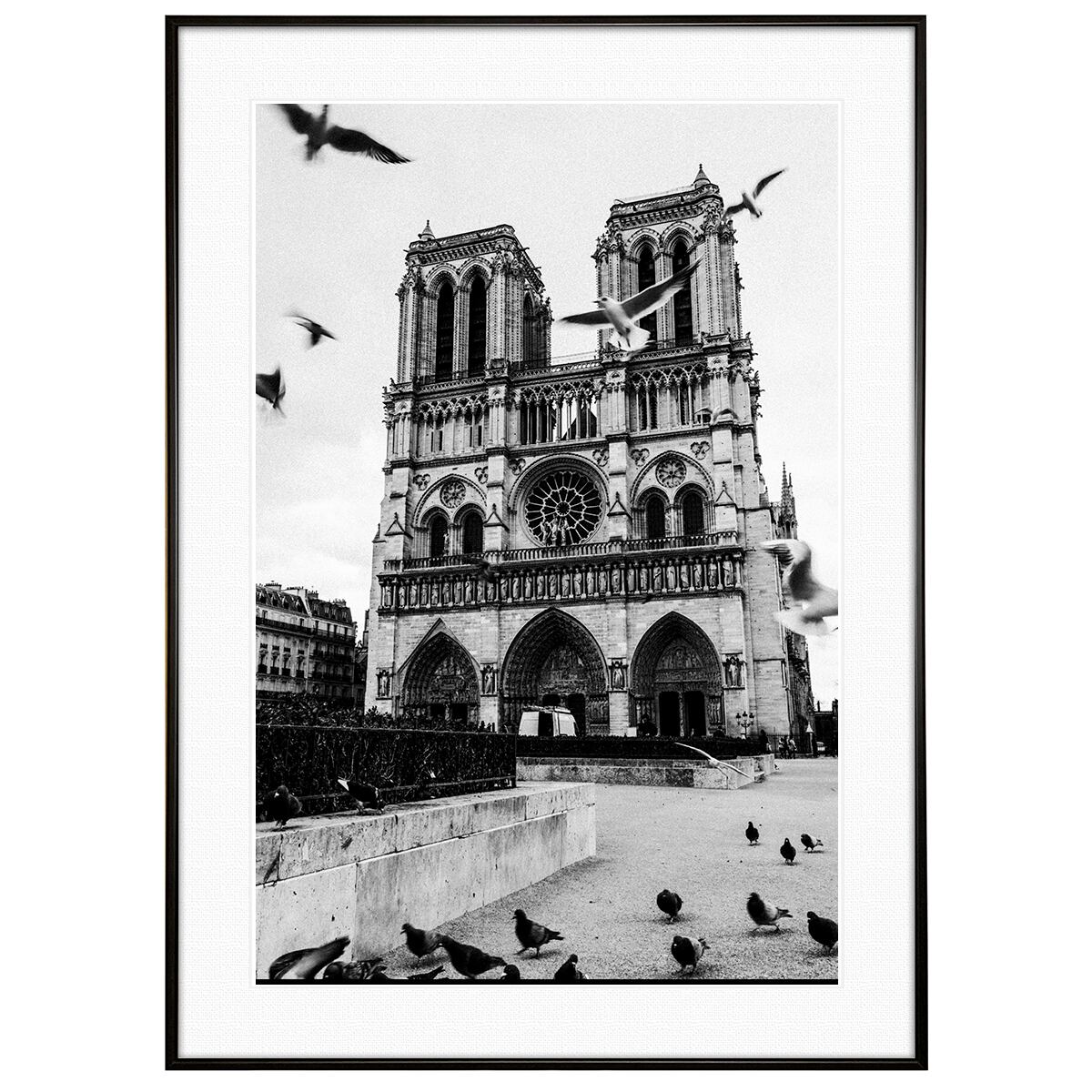 フランス写真 パリ ノートルダム大聖堂 インテリアアート額装S〜L 