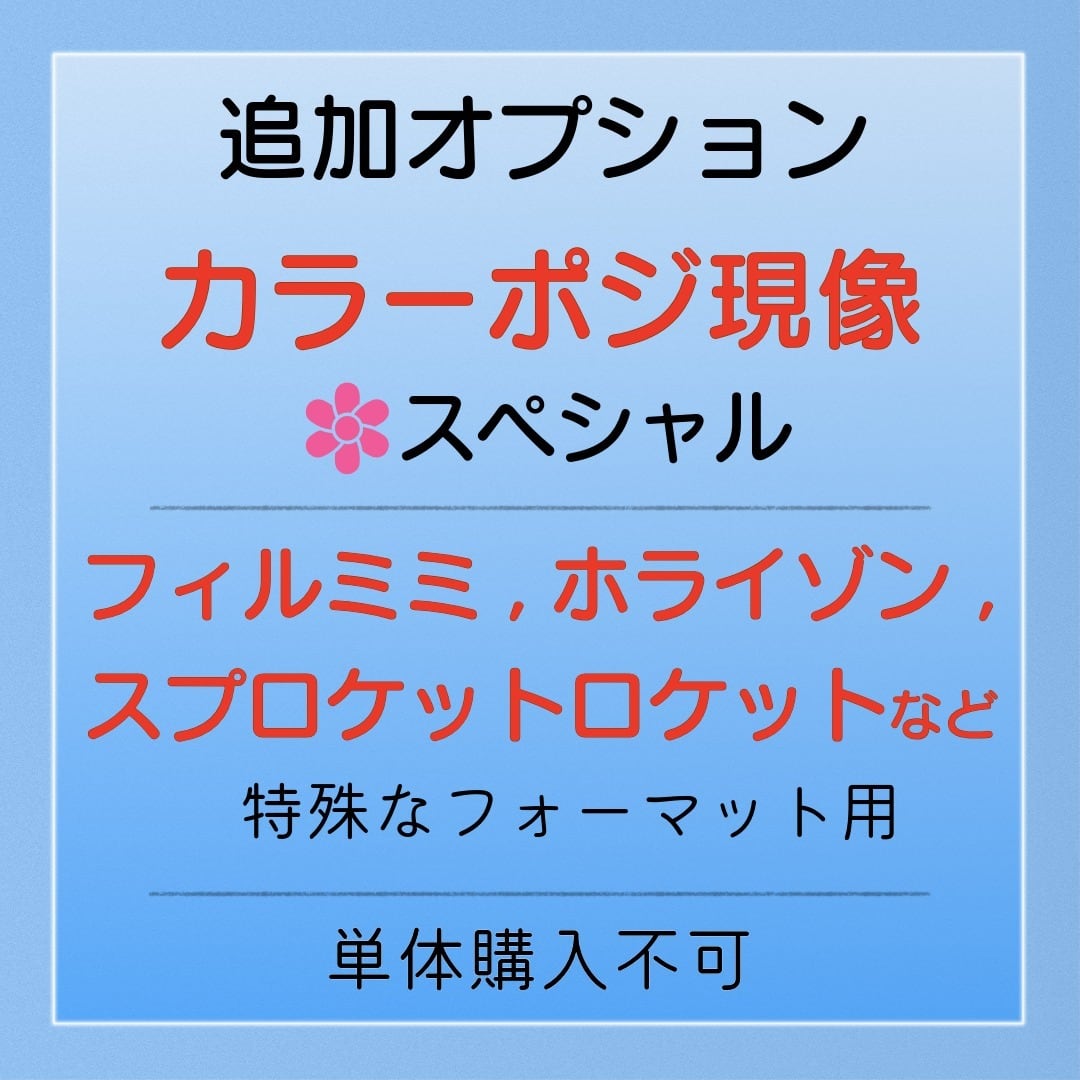 追加オプション:カラーリバーサルフィルム/ポジフィルム現像 ノーマル
