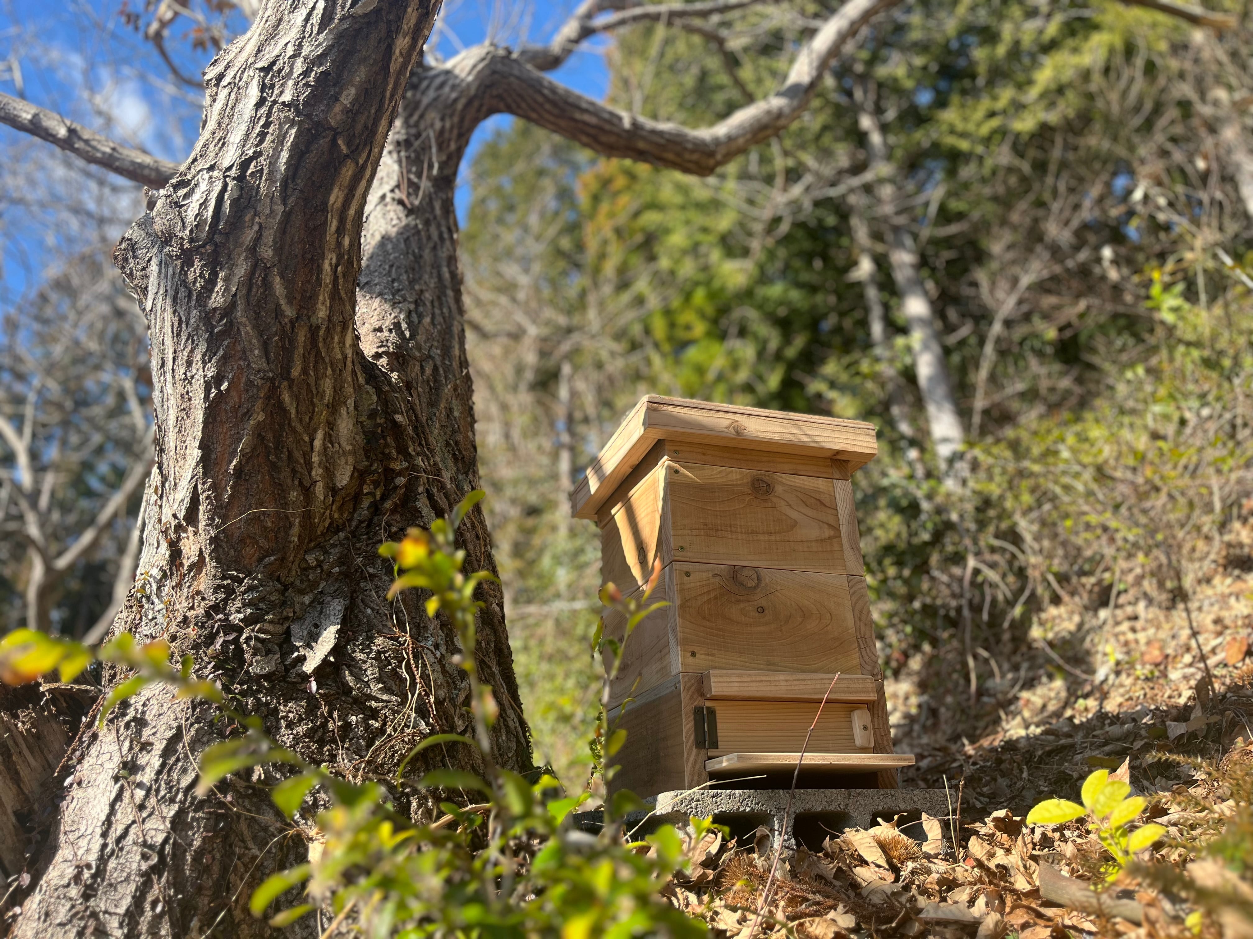 SantaPa里山養蜂箱｜日本ミツバチ重箱式巣箱3段セット｜スノコ付き｜竹