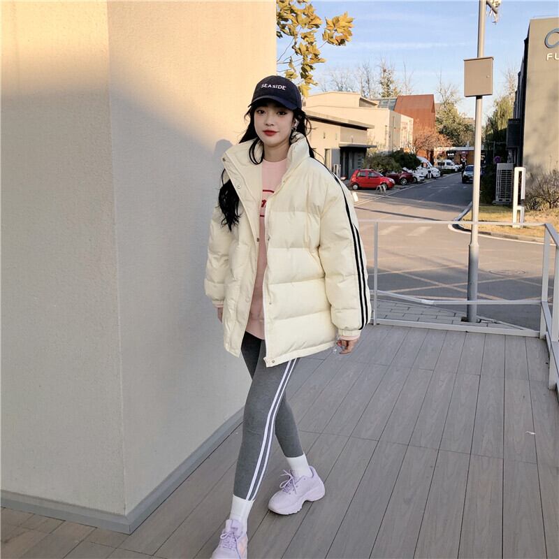カラージャケット レディースウィンターサイドストライプ コットン 冬物 萌量不足39873843879