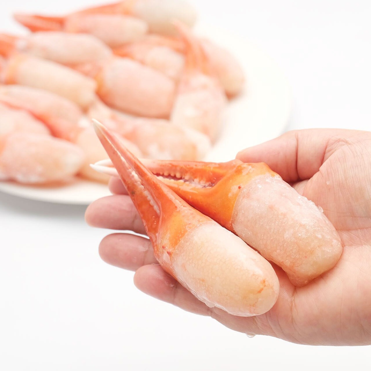 北海道産紅ズワイガニ爪かにしゃぶ500g