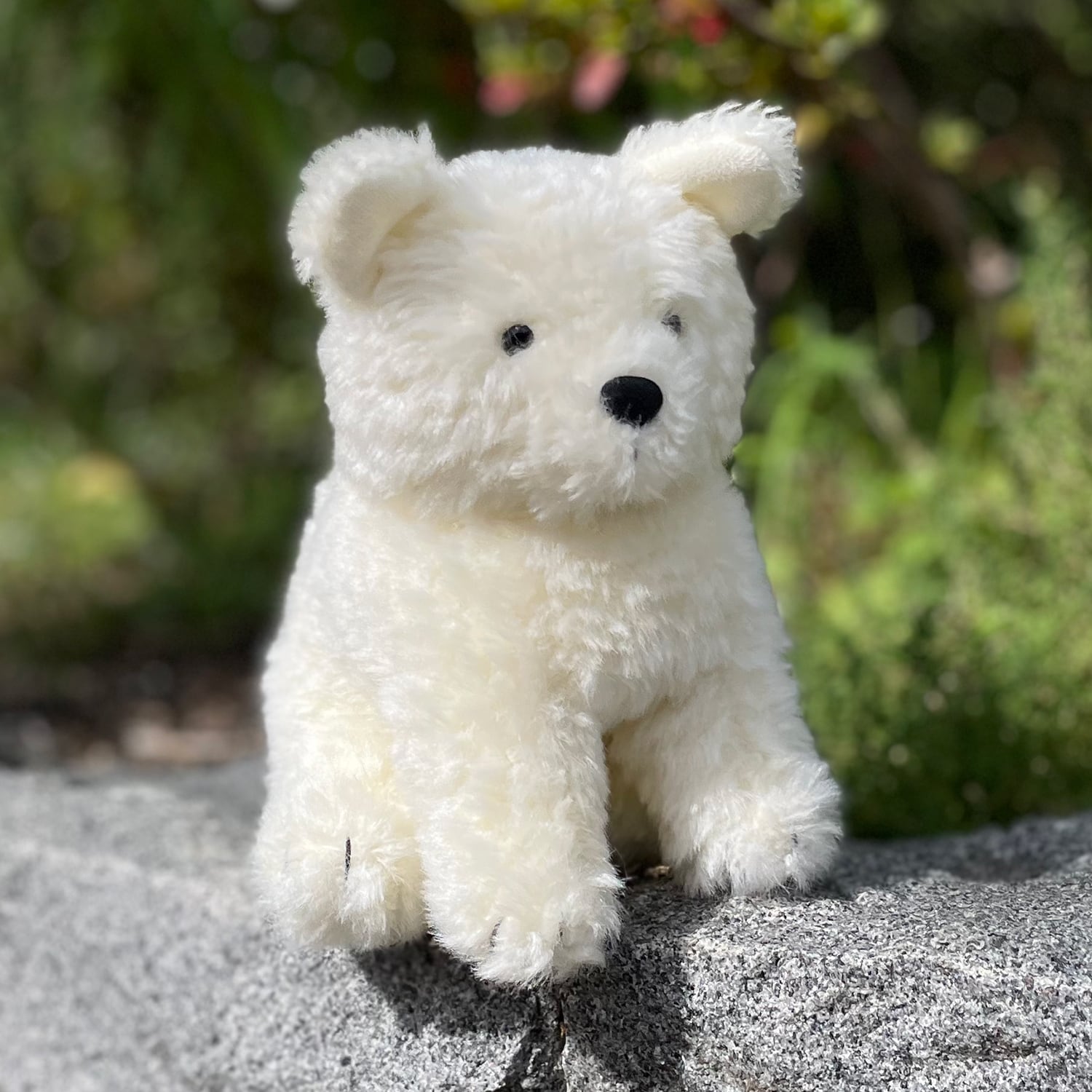 秋田犬わんこ 白毛 | もふいぬ