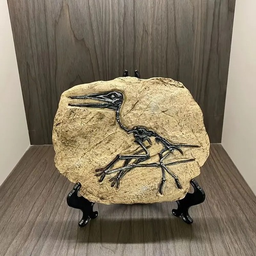 置物　恐竜　化石　骨　骨格標本　骨格模型　おもちゃ　知育　インテリア　ギフト　贈り物　誕生日　ディブロドクス　翼竜