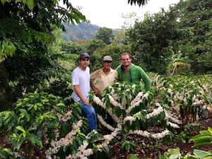 ⭐︎浅煎　コスタリカ　ガイアアルティサン　200g