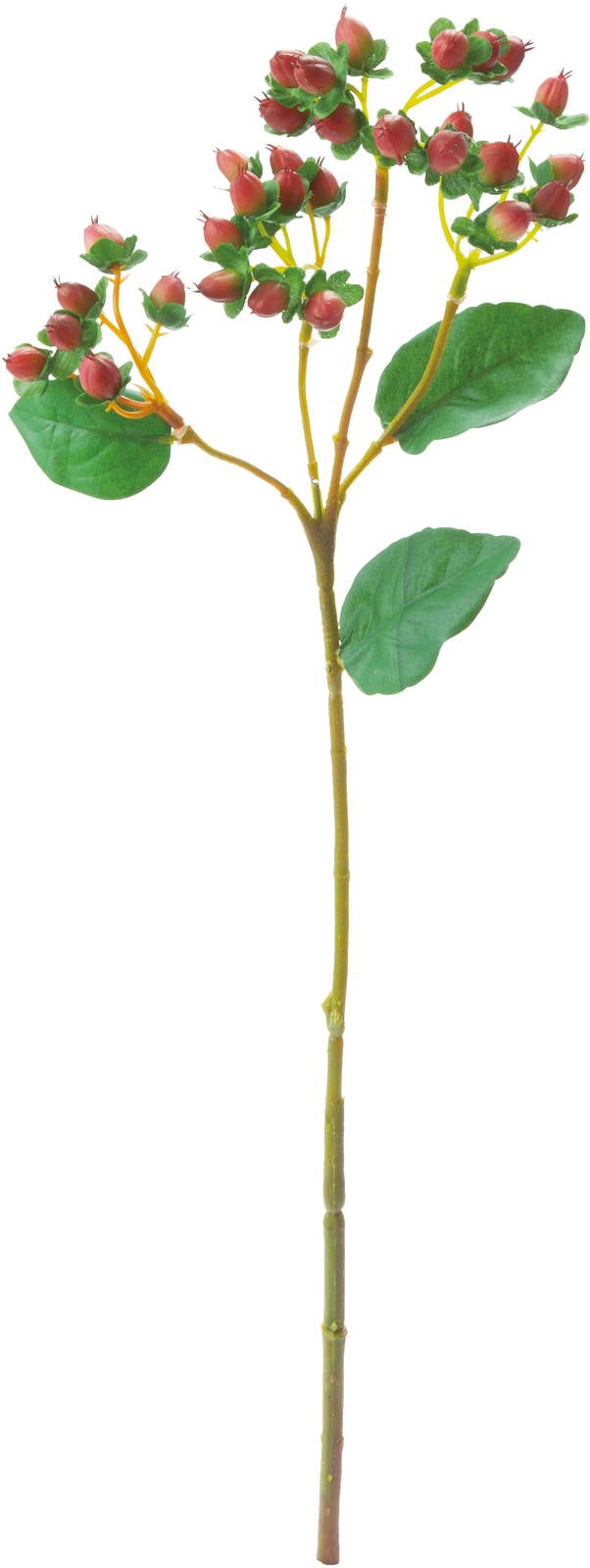 ヒペリカム FG-4644BR 4961823646652 造花（アーティフィシャル