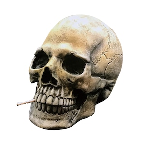 SKULLHEAD Tooth pick holder - The Skull