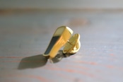 SHAMS push pin "PINT"