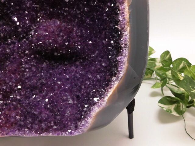 【送料無料】【高品質】【超美品】総高43cm ウルグアイ産　特大アメシスト