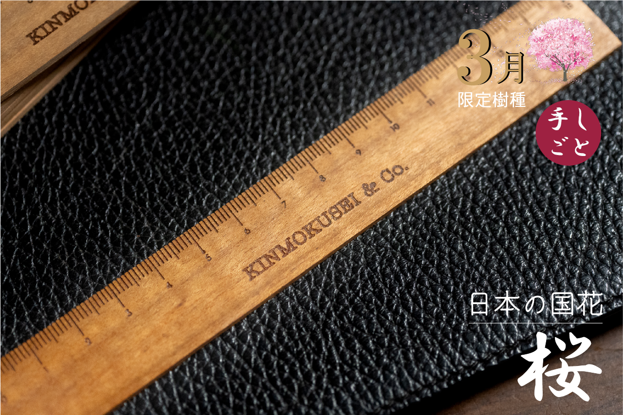 銘木定規【日本の国花】 桜 3月限定 15㎝