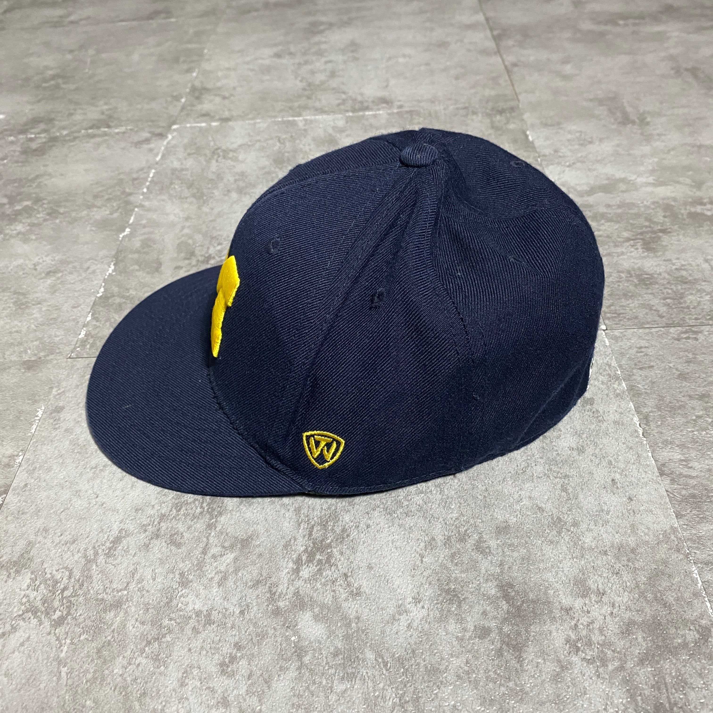 90's TOP OF THE WORLD Michigan ミシガン大学 刺繍カレッジロゴ