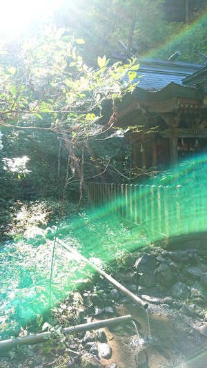 神社⛩️同行鑑定