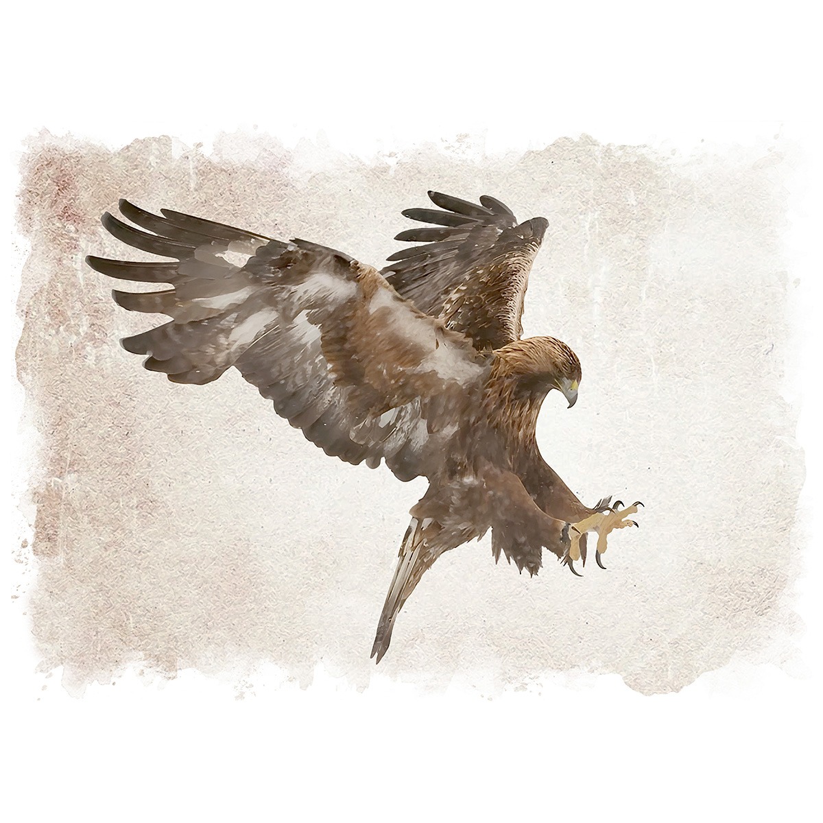 絵画 動物 鳥 イヌワシ インテリアアート額付き 水彩画・油絵風 