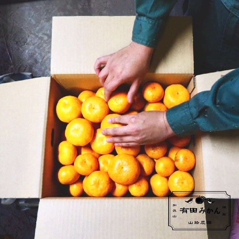 訳あり】有田みかん 10kg | 山路農園