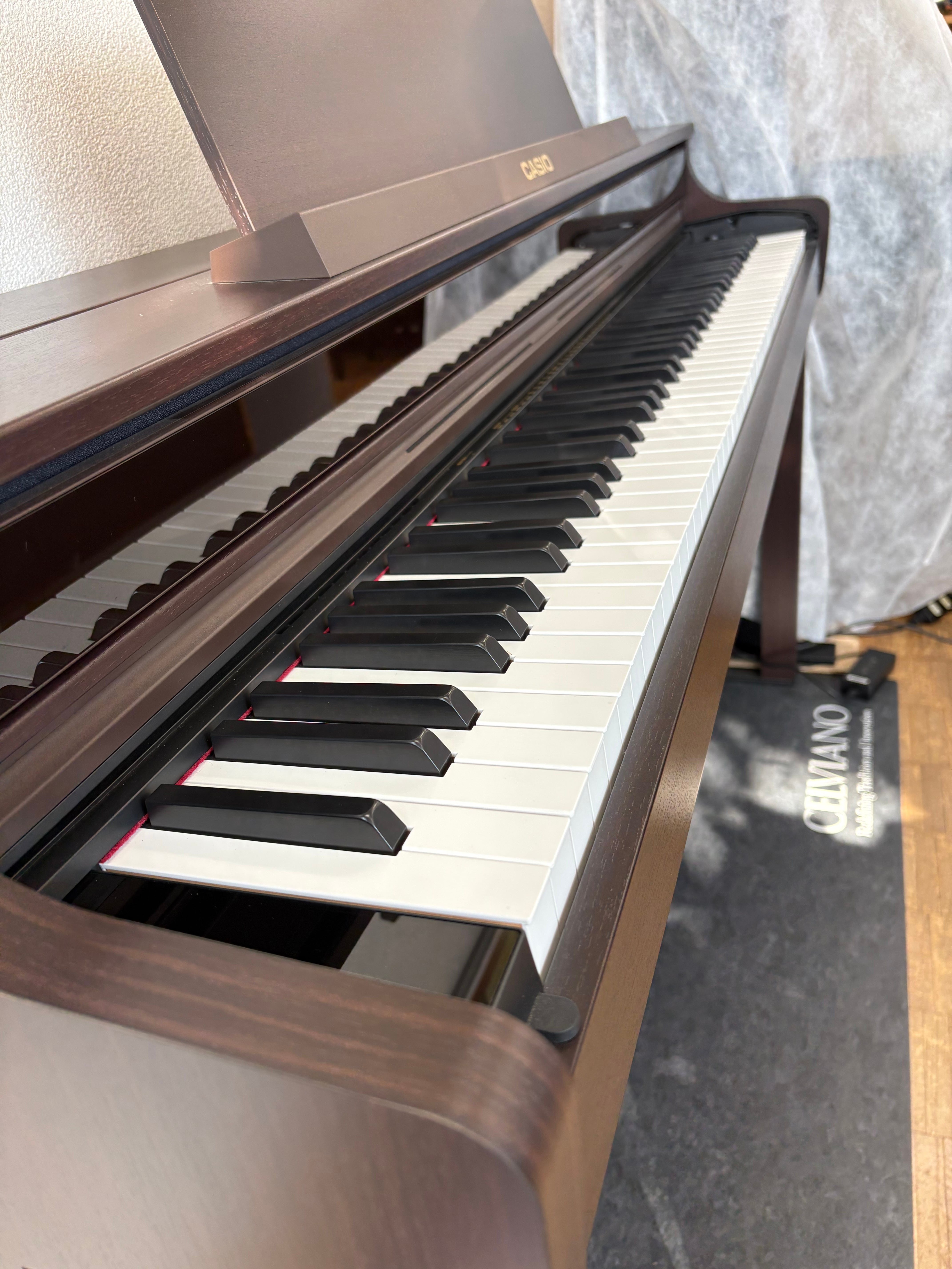【展示処分品】カシオ　AP550BN