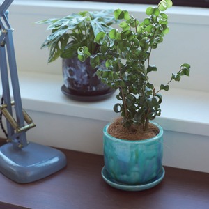 ceramic pot FARM"Juulia12G" Φ14cm×H13cm植木鉢 底穴あり