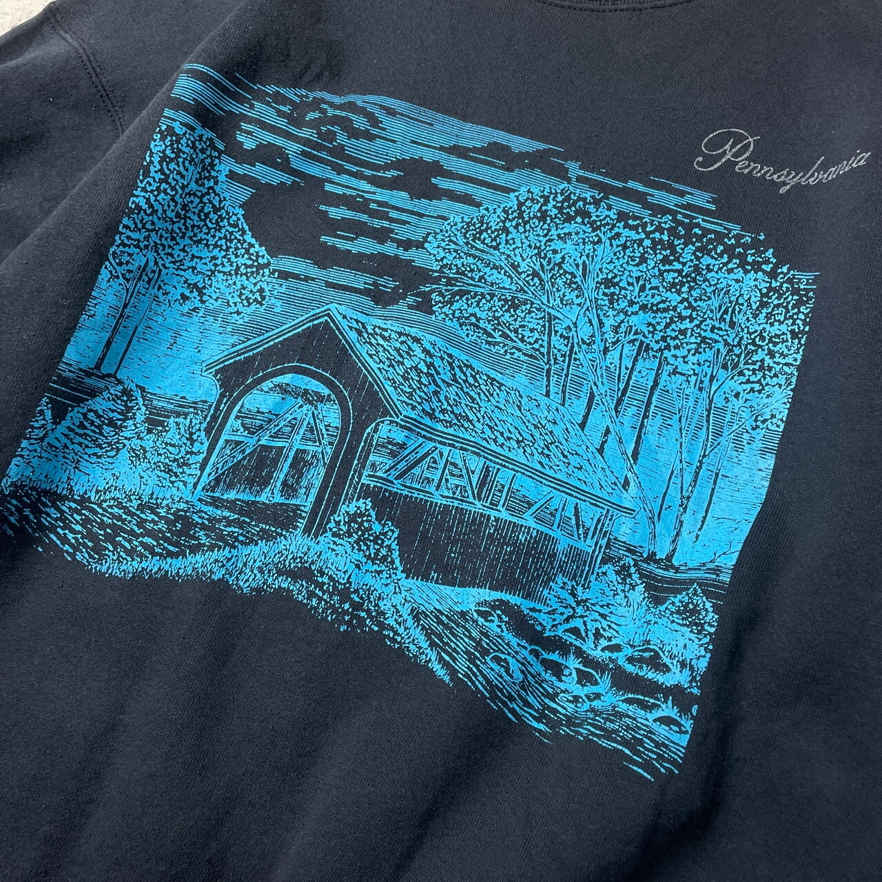 90年代 Pennsylvania 風景画 アート スーベニア プリント スウェット