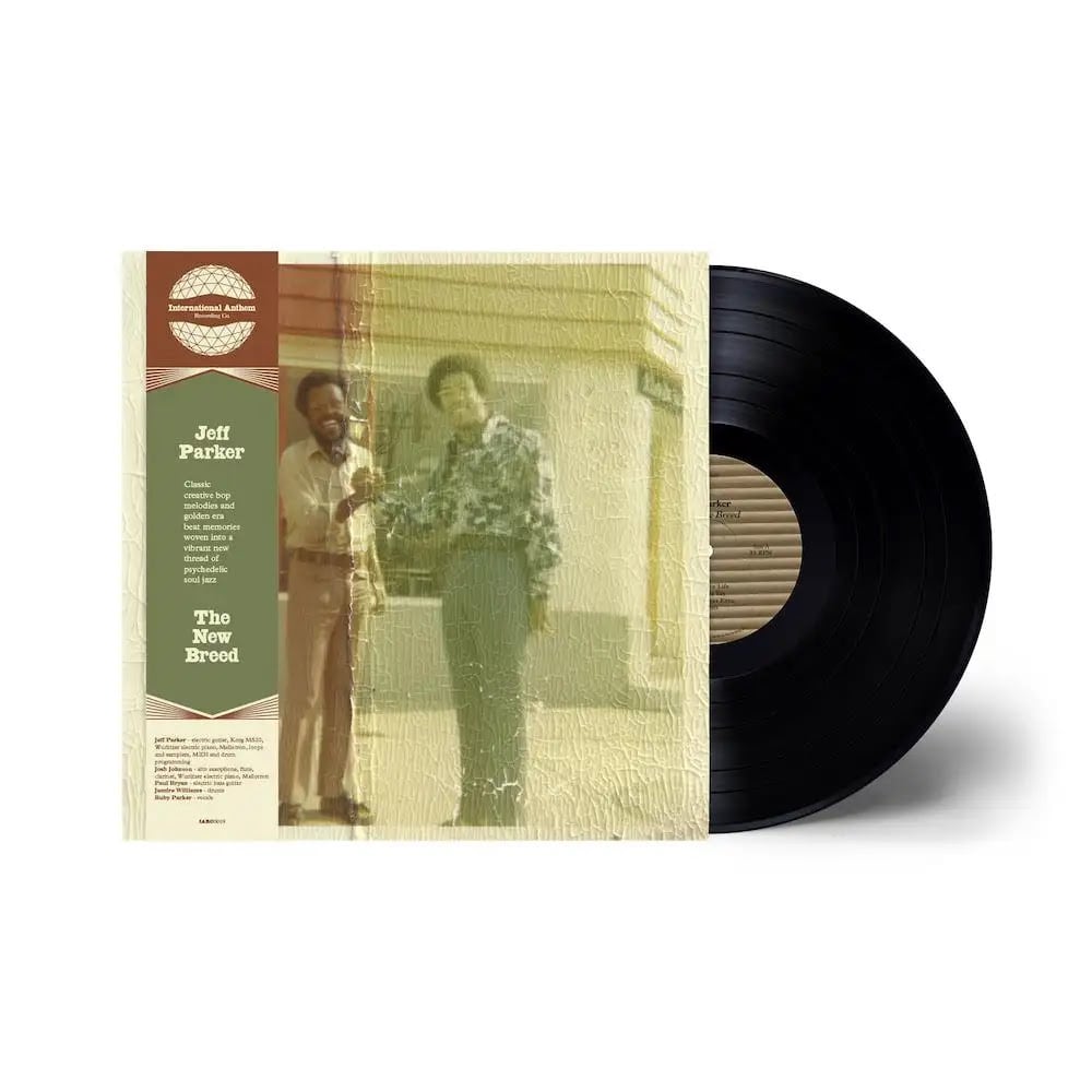 Blood Orange / Essex Honey (LP) | Record Shop BAGISM