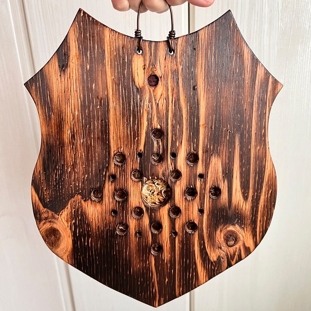 ビカクシダ レモイネイ 板付 【観葉植物 室内 コウモリラン】