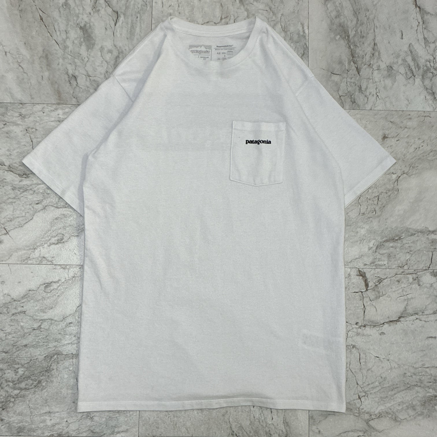Patagonia パタゴニア Tシャツ 胸ポケット ビッグプリント バック