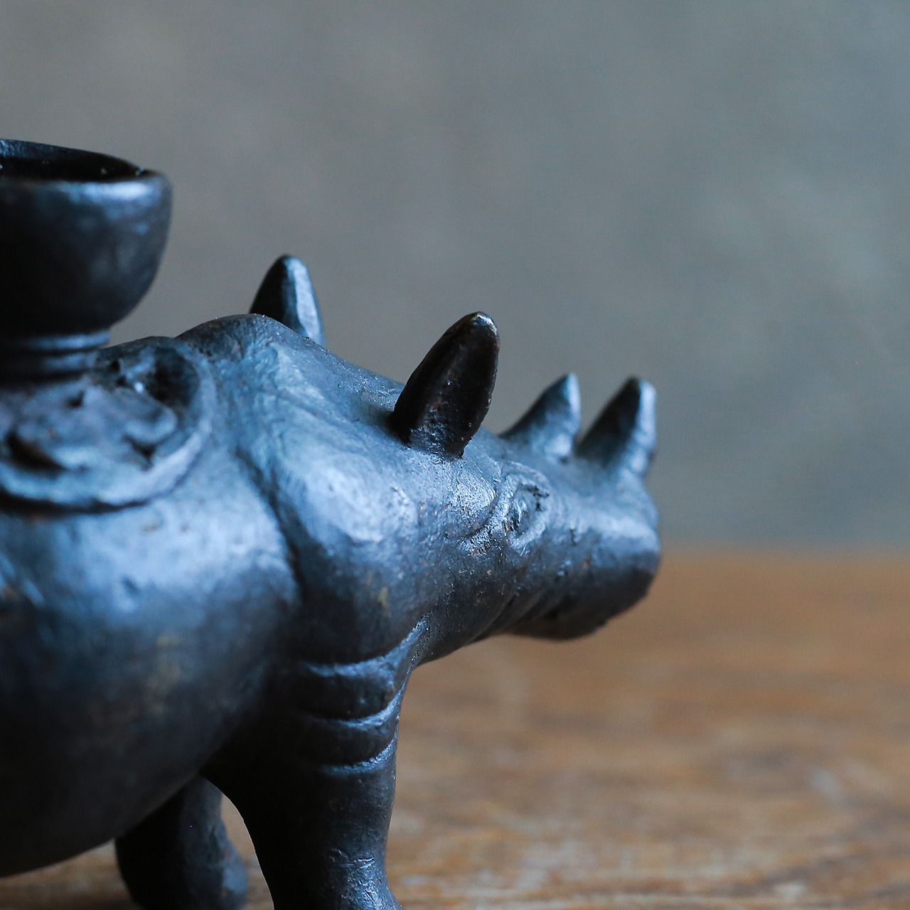 背中にキャンドルを乗せる、ずっしりとしたサイ 2