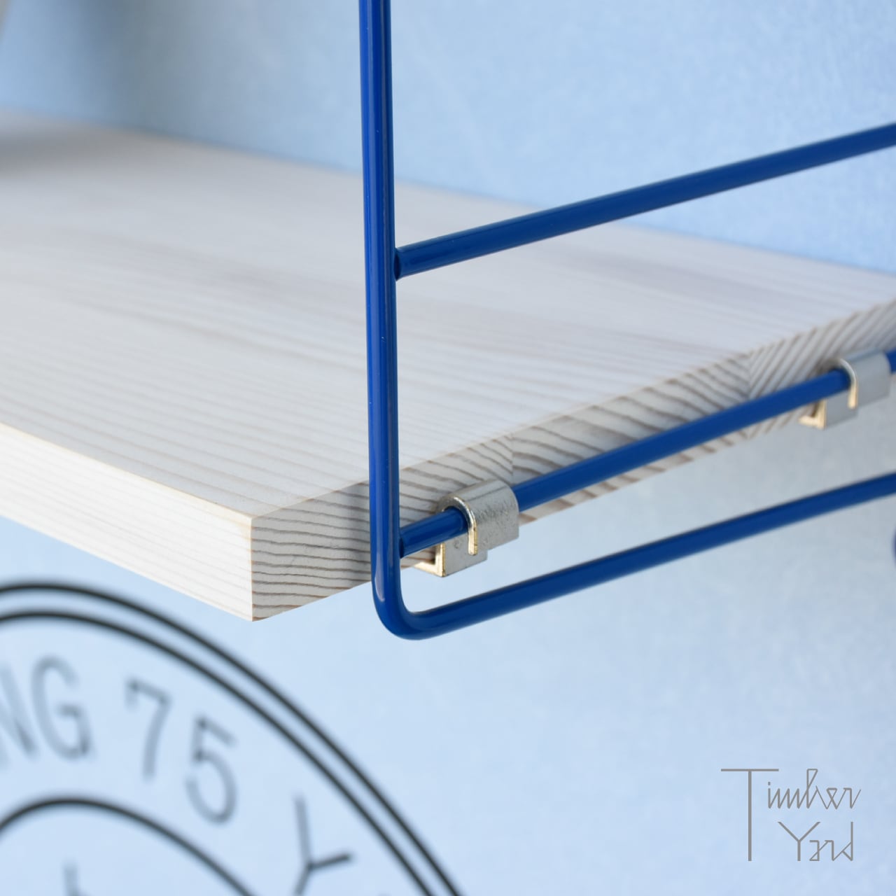 数量限定】String 75th リミテッドエディション / String 1949-2024