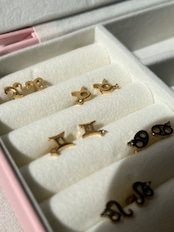 mini zodiac sign pierce