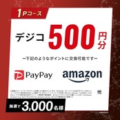 アサヒ飲料 ウィルキンソン タンサン レモン 500ml×24本 [炭酸水]