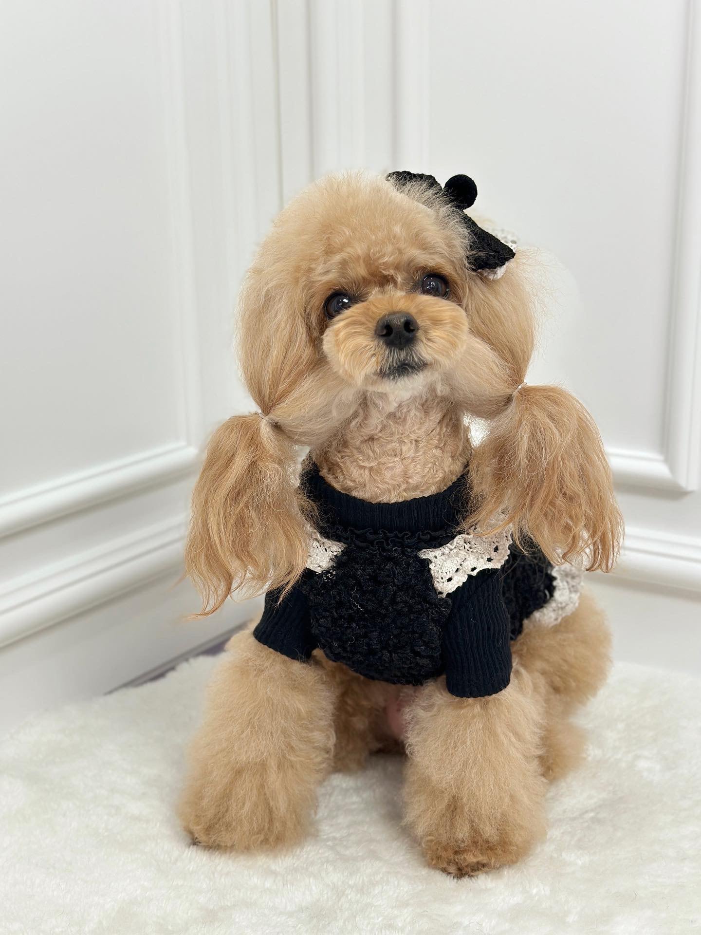即納販売 lovely ribbon bustier （ivory/black）ラブリーリボン
