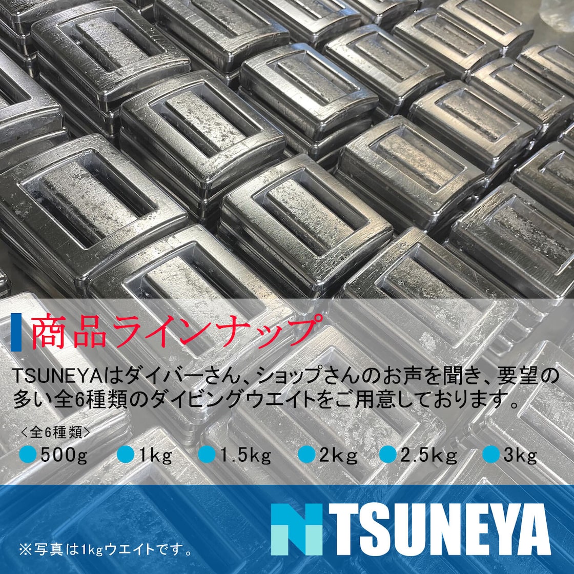 送料無料】0.5kg（500g）×10個 ダイビング用ウエイト TSUNEYA 