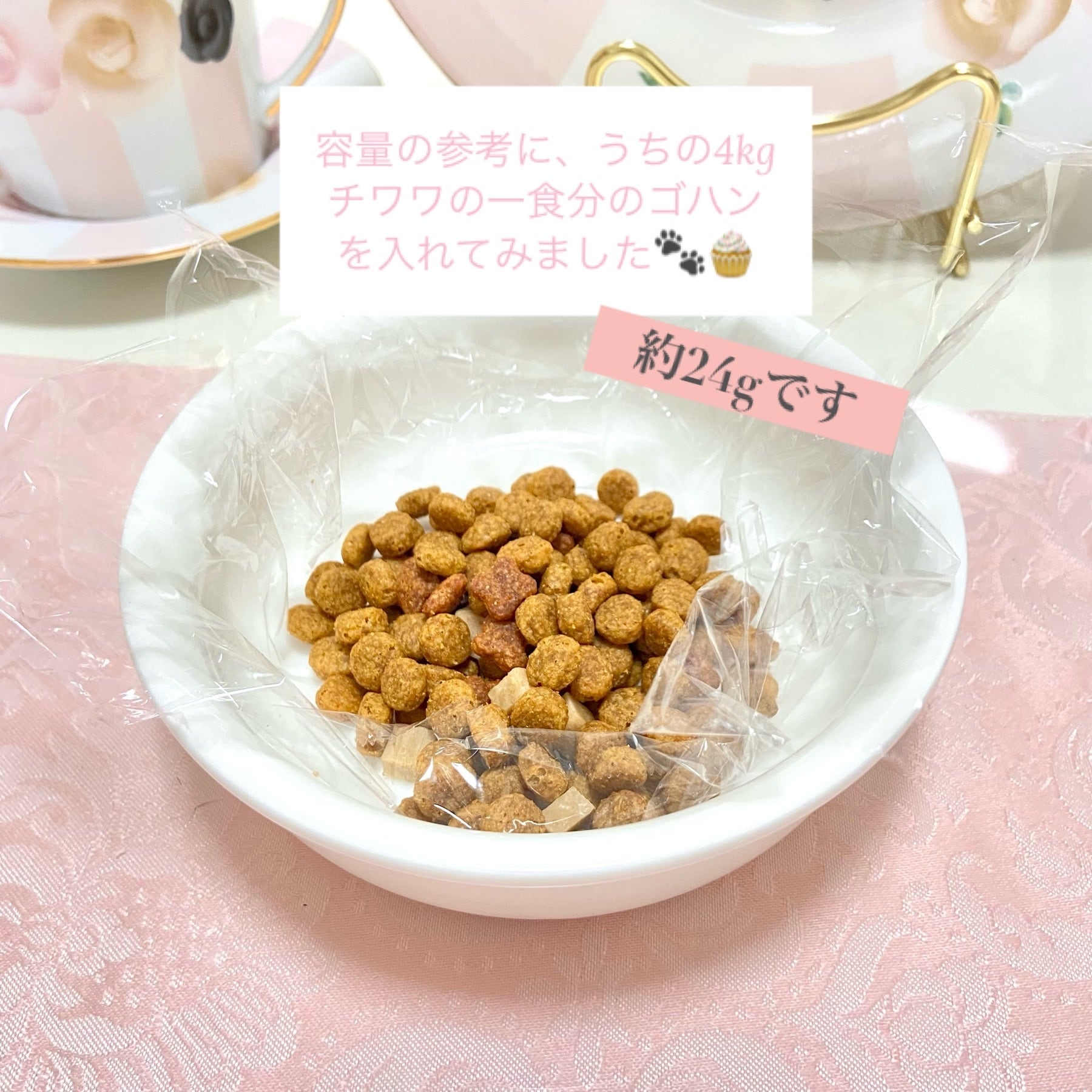 アウトレット】お姫様なワンちゃん用 丸型フードボウル | マリー アウトレット】お姫様なワンちゃん用 丸型フードボウル | マリー