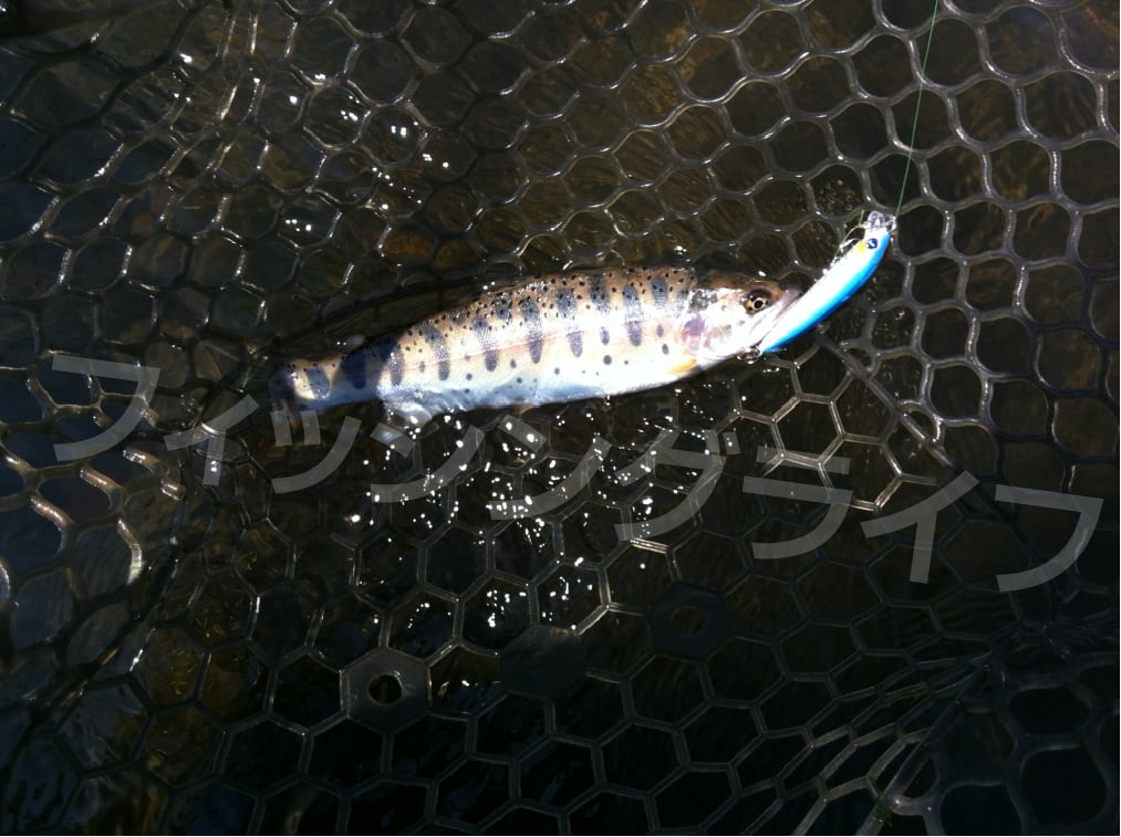 キエット さんさま専用　トリプルフック　16号　100本 ×5セット キエット さんさま専用 トリプルフック 16号 100本 ×5セット