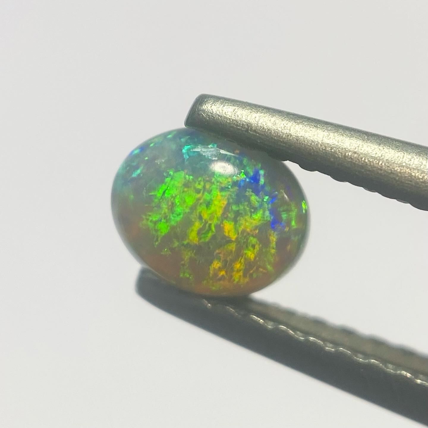 モネの庭 ブラックオパール