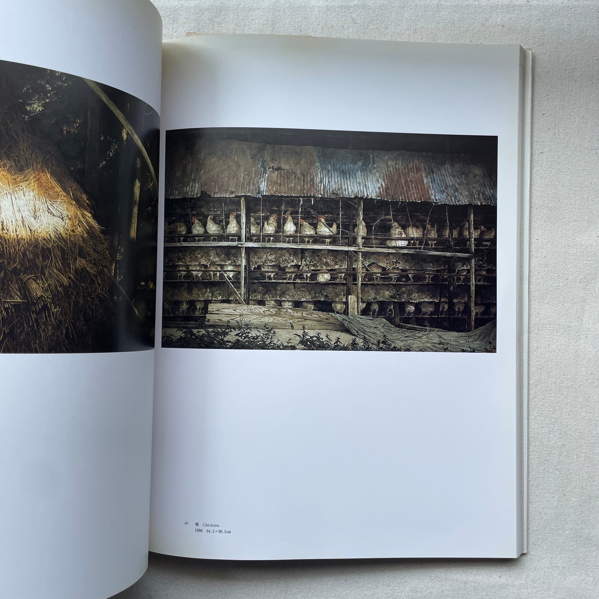 原雅幸、【Owlの樹】、希少な大判額装用画集より、美品、日本人画家 原雅幸画集 | 汀線