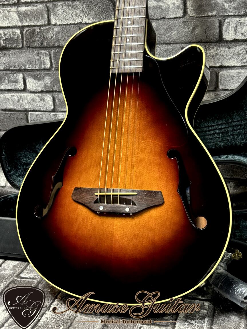 argus✩ギター✩DJ-23✩ジャンク扱いで✩10月までの限定出品です argus✩ギター✩DJ-23✩ジャンク扱いで✩10月までの限定出品です