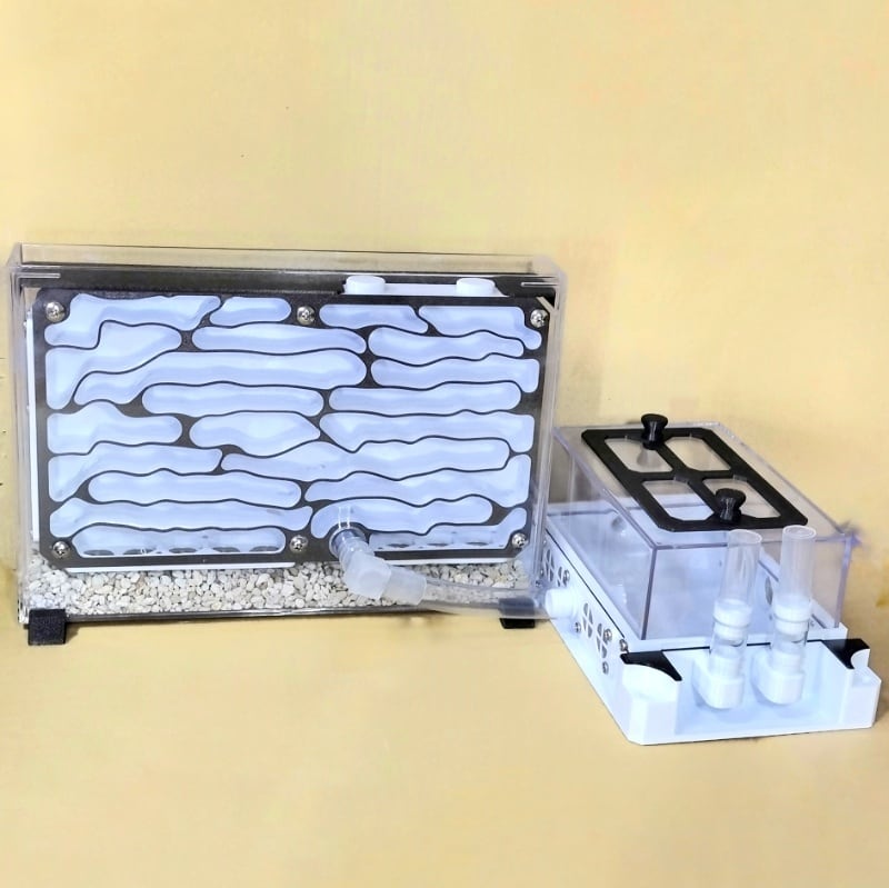 箱型3Dプリンター巣【大】（B-Hkd） | あり巣 in underground