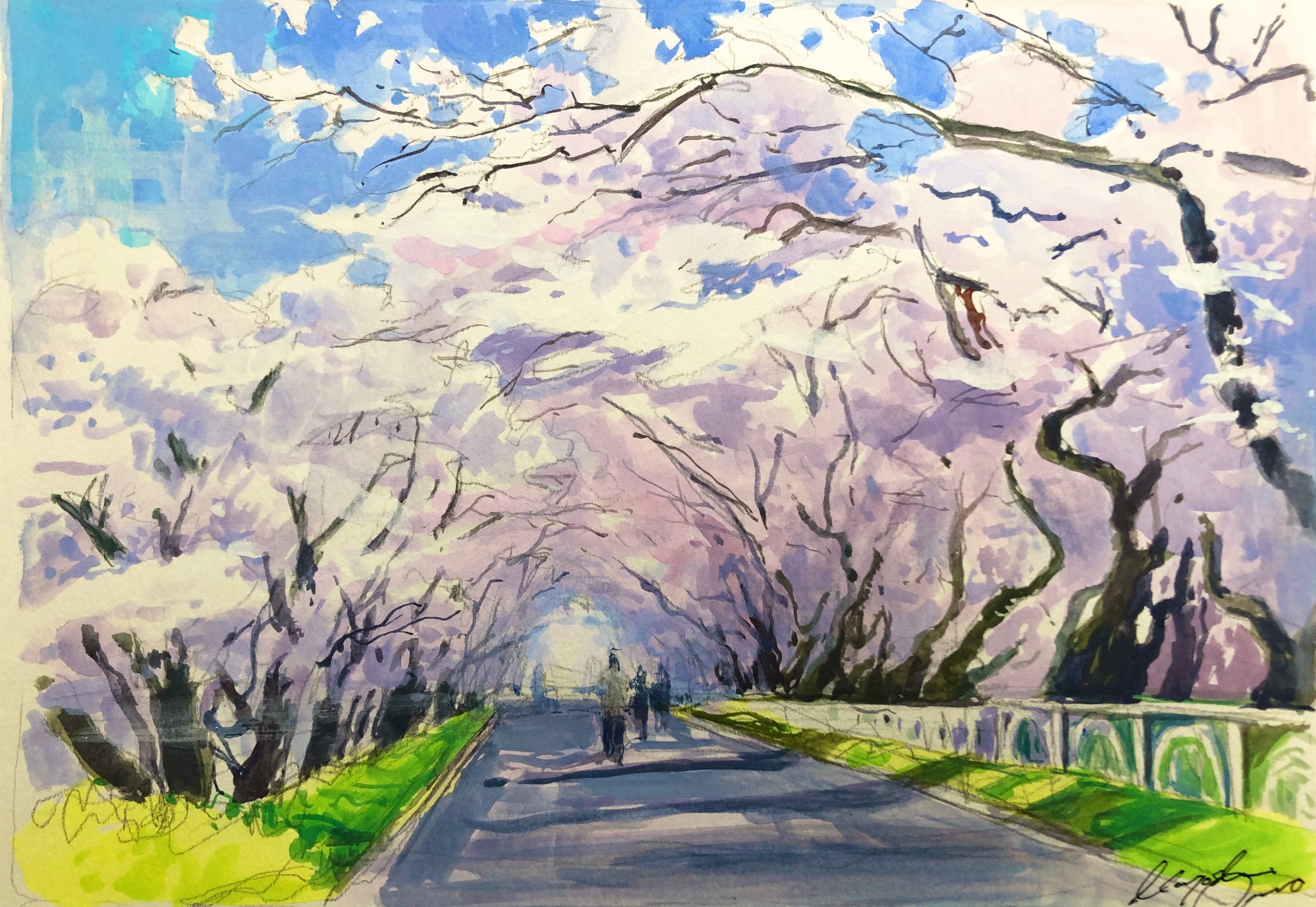 ☆後払い決済OK！ネット限定販売！2025年新作水彩画【新品額付き】桜