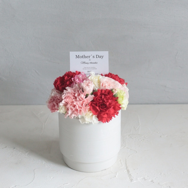 母の日 カーネーションのアレンジメント