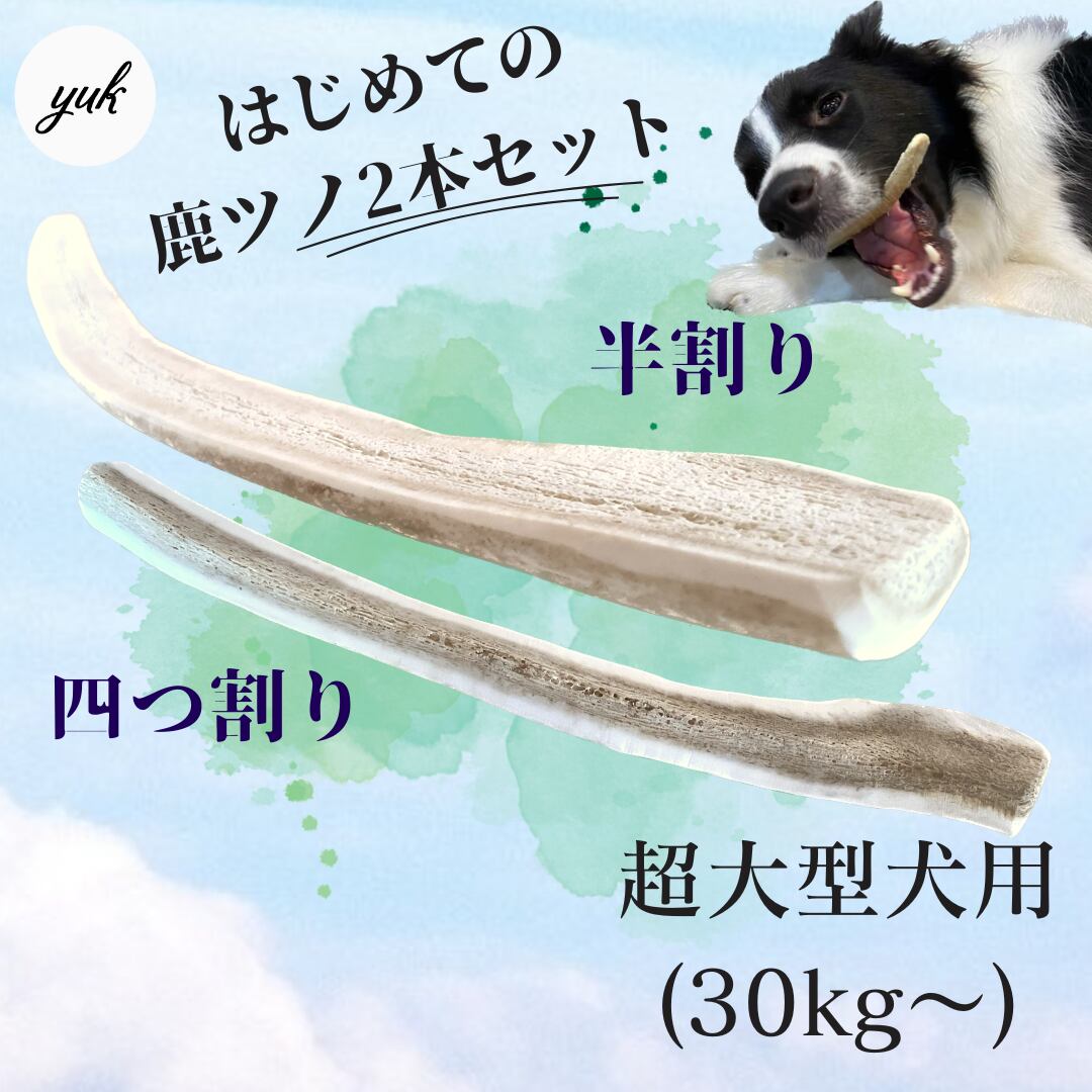 四つ割り&半割り 2本セット　超大型犬用　蝦夷鹿のツノ　ワンちゃん用オモチャ　ドッグガム　鹿角　 | yuk powered by BASE