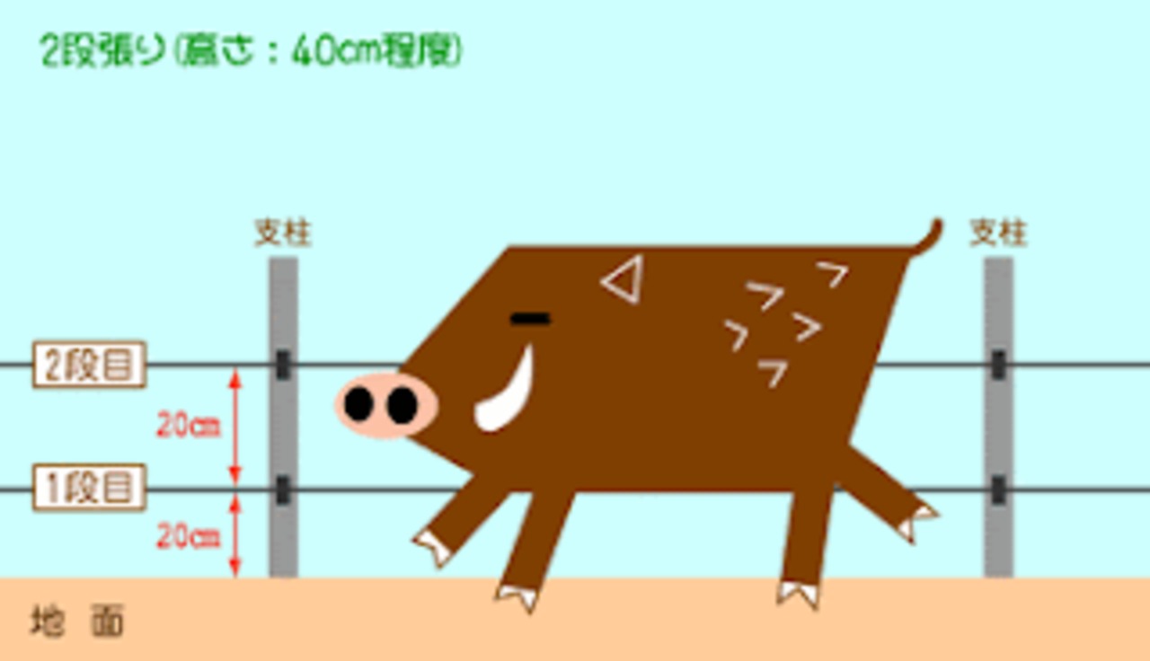 イノシシ　ネズミ　鳥避けリング　4本