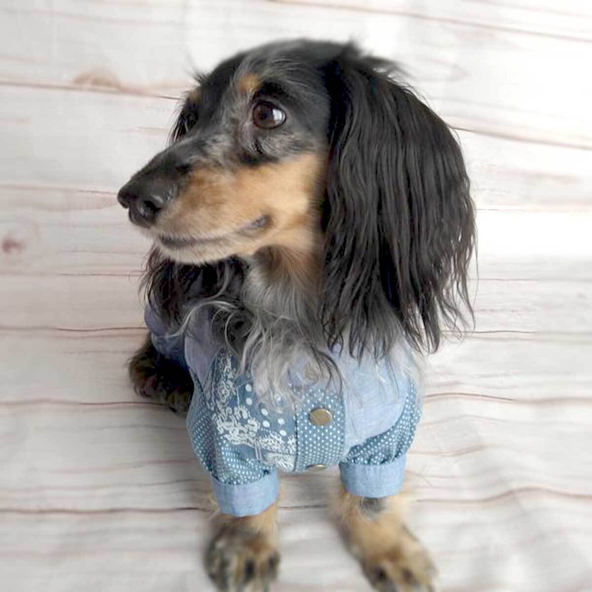ママちゃん ハンドメイド 犬服 犬の洋服ハンドメイド ママさん新作づくりの1日に密着【トイプードル