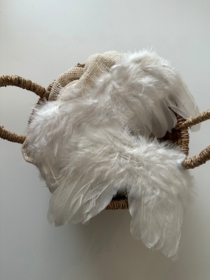 [即納] angel's wing (送料無料)